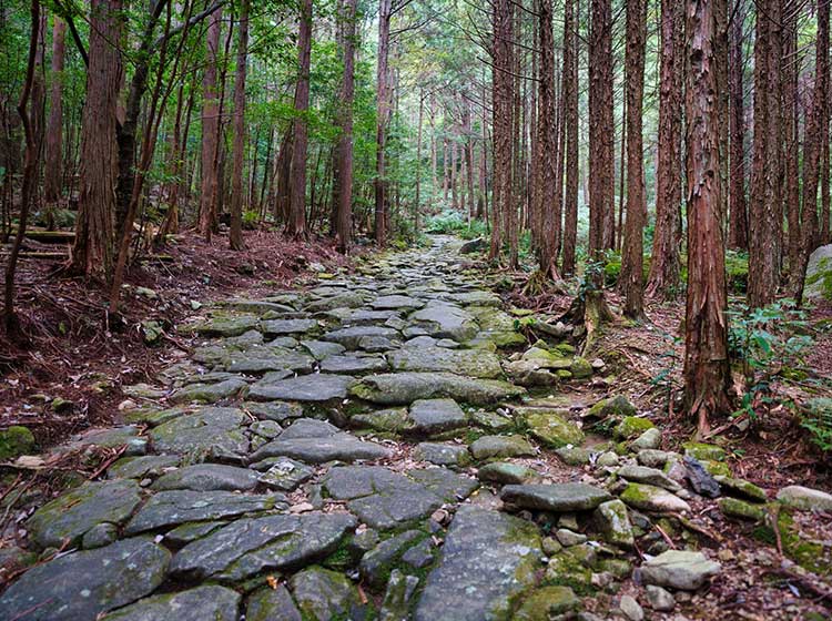 熊野古道　馬越峠の石畳